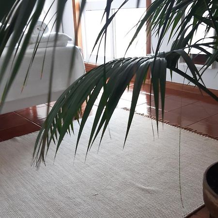 Sun & Sand Guesthouse เอสโปเซนเด ภายนอก รูปภาพ